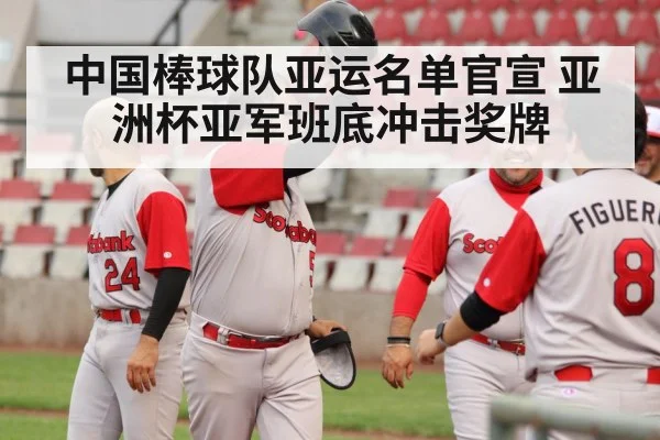 China baseball team celebration